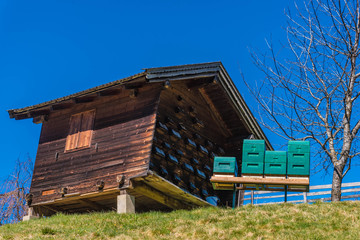 Holzhäuschen mit Bienenstock