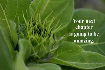 Inspirational quote - Your next chapter is going to be amazing, With young baby sunflower ready to...