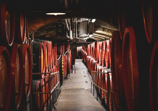 Liqure Unicum barrels in a cellar