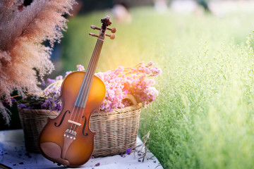 classic violin in flower garden