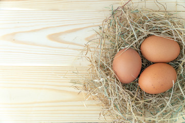 Fresh brown chicken eggs in hay nest on blue wooden background. Concept of organic eggs, free space for text or other elements
