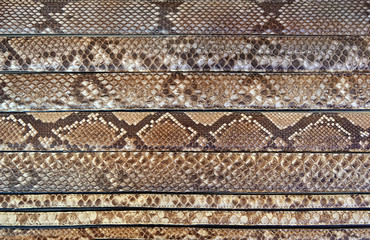 natural snake skins background full frame. Collection of leather belts with snake skin texture...