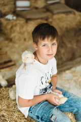 little boy sitting on a bench with a chicken