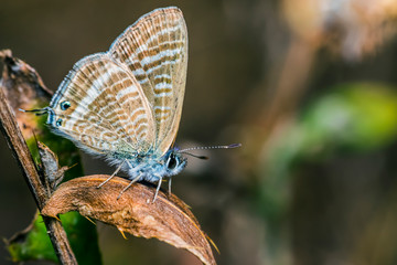  i looking for the summer