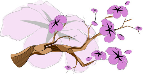 sketch sakura branch
