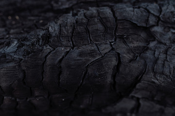 the black texture of the burnt tree bark
