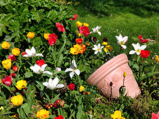 parterre au primtemps