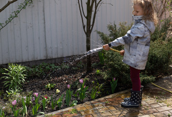 Fototapeta na wymiar young girl watering spring flowers with a garden hose on a sunny day. young gardener. selective focus.