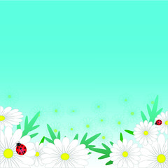 ladybug and daisies spring background, vector illustration