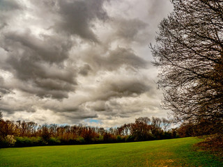 Obraz premium OLYMPUS DIGITAL CAMERA - LANDSCAPE