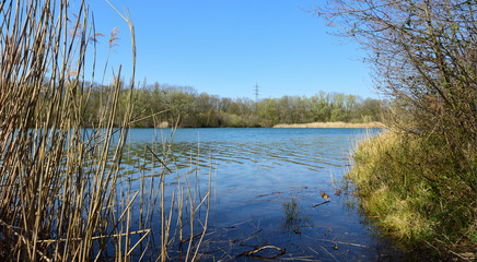 fr&uuml;hling am see in neuss s&uuml;d, deutschland