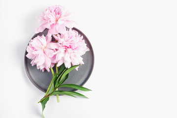 beautiful fresh cut peony flowers lie on a gray dish. minimalistic composition on a white background, flat lay