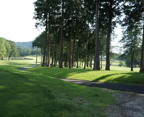 It is a photograph of golf.