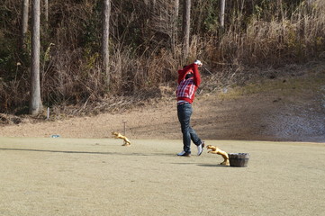 It is a photograph of golf.