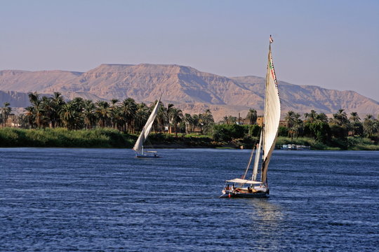 felluca style boats sailing on a river