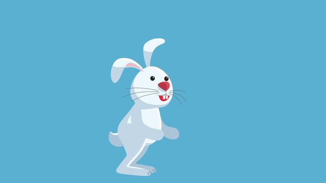 White Hare Bunny Jumps Cartoon Isolated Animation