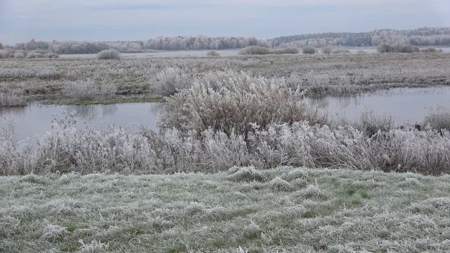 October frost on the Sorot river. Pskov region, Russia 
