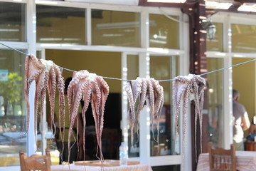 poulpes en train de sécher sur un fil après la pêche  © SerinusCanaria