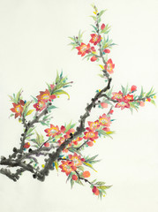 Fototapeta premium flowering peach branch
