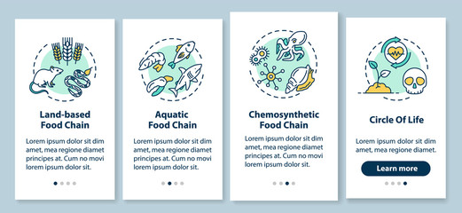 Food chain onboarding mobile app page screen with concepts. Biological process. Biodiversity walkthrough 4 steps graphic instructions. UI vector template with RGB color illustrations