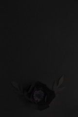 Fototapeta premium black background with a flower made of paper, top view