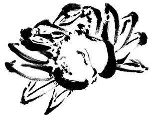 線画、 白黒、 モノクロ、 単色、ズワイガニ, 蟹, カニ, かに, マツバガニ, 松葉蟹,