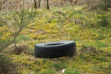 Pneu abandonné en pleine nature