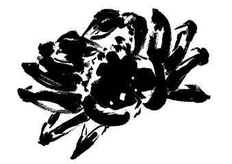 ズワイガニ、蟹、カニ、かに、マツバガニ、松葉蟹、海の幸、越前蟹、高級、シーフード、みそ、魚介類、鍋、