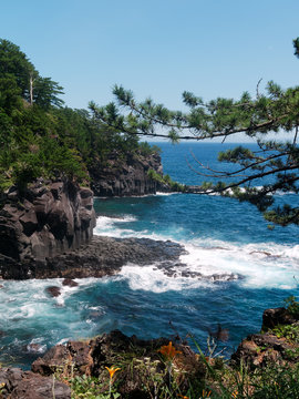 View of wild rocky cliffs with columnar joints and pine trees. Waves of the pacific ocean crushing rocky shores. Jogasaki coast in Izu, Japan.
