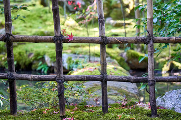 Japanese style garden behind the fence