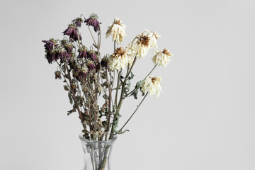 Bouquet of wilted flowers on a white background
