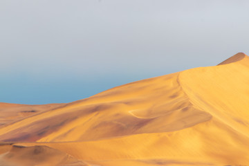 Fototapeta na wymiar Amazing view of the sand dunes in Namib Desert. Artistic picture. Beauty world.