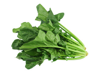 close up on fresh spinach isolated on white background