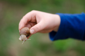 a hand holding a snail