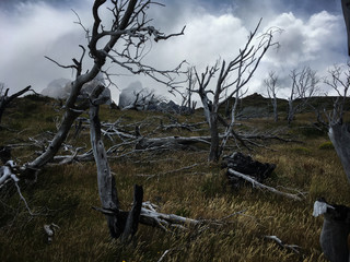 Torres del Paine National Park, Chile
