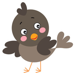 Cute black bird isolated on white