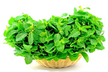 Fototapeta premium Peppermint leaves in wooden basket isolate on white background.