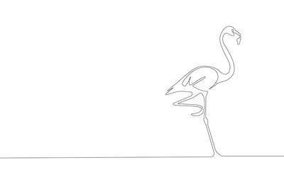 Fototapeta premium Continuous line drawing of Flamingo vector illustration for a whiteboard animation video. Outline tropical bird, Flamingo silhouette isolated on white background.
