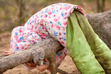 4 year old caucasian child girl in warm clothing hanging over a big exposed root of a pine tree in the forest at the beginning of spring in March in Germany