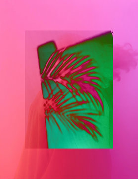 Illustration of palm collage