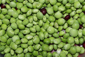 green organic grains
