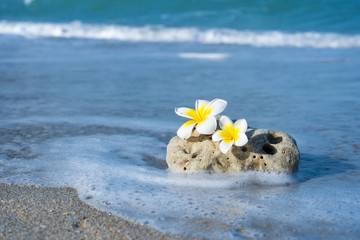 Obraz premium A small stone of an interesting smooth form is washed by waves on the beach. Calm and relaxation by the sea concept