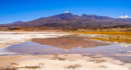 Salar de Pastos grande