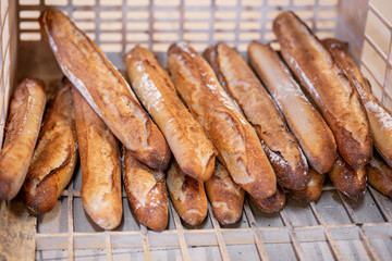 french baguette bread