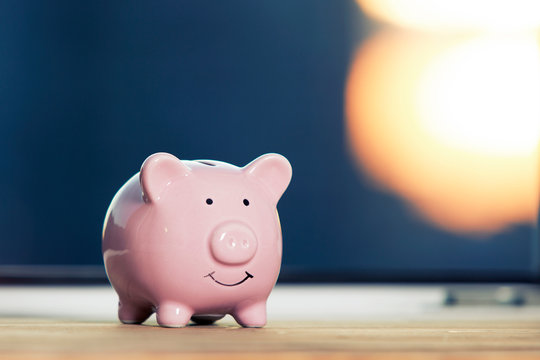 Pig Piggy Bank On Books, Sunset