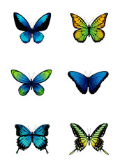 Fototapeta na wymiar Coloured butterflies collection.