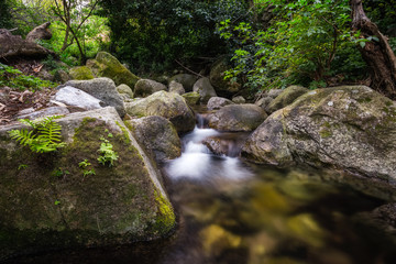 Fototapeta na wymiar Mountain stream and boulders in Corsican forest