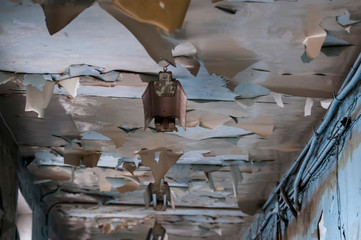 Large white paint chips flake off an old church ceiling.