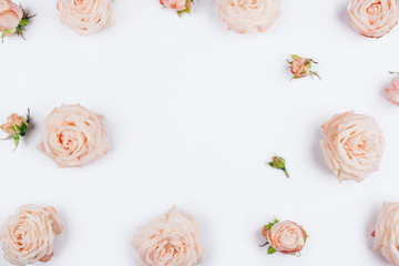 Spring background. Rose flowers on a white background. Flat lay. Copy space for text.