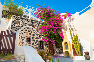 Traditional greek architecture and garden with flowers on Santorini island, Greece.